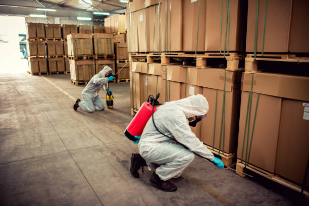Best Pest Control Treatment  in Morgan City, LA