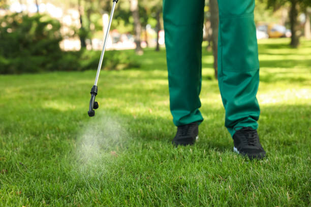 Best Insect Control  in Morgan City, LA