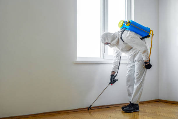 Trusted Morgan City, LA Pest Control Experts